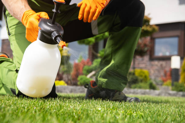 Reliable Wheeler, TX Pest Control Solutions