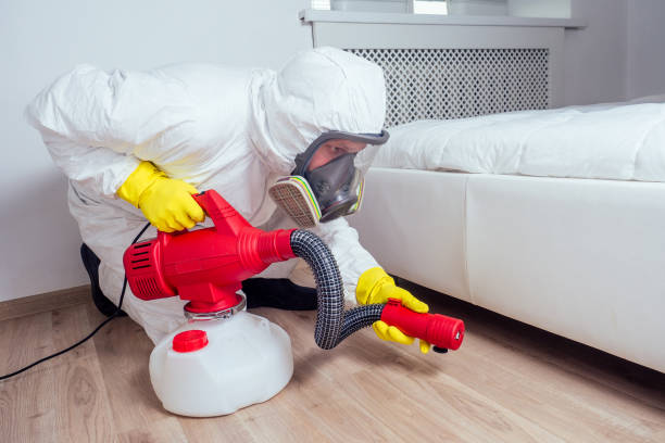 Best Rat Extermination Near Me  in Wheeler, TX