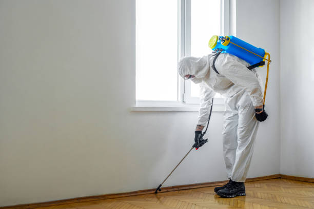 Best Pest Control for Homes  in Wheeler, TX