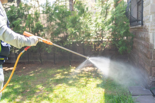 Best Insect Control  in Wheeler, TX