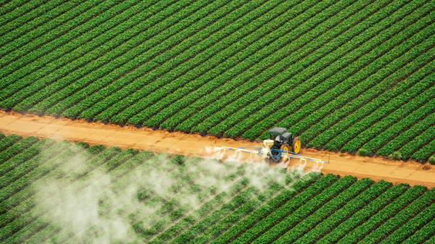 Best Insect Control  in Wheeler, TX