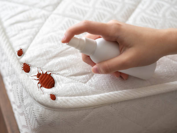 Best Exterminator Services  in Wheeler, TX
