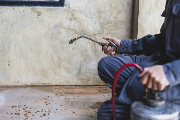 Best Emergency Pest Control  in Wheeler, TX